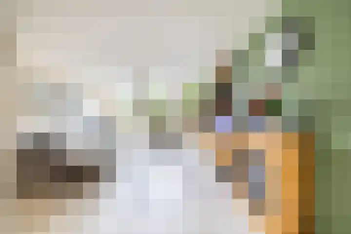 Verzetslaan 31 Doetinchem thumbnail 14