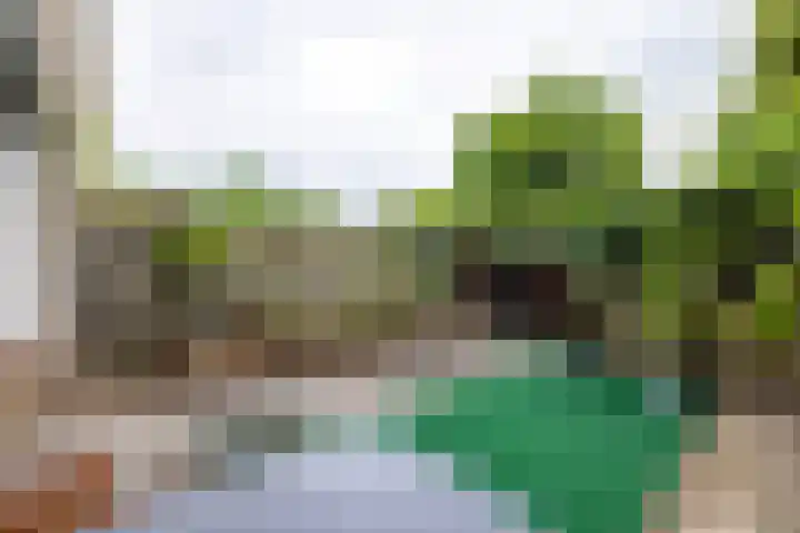 Verzetslaan 31 Doetinchem thumbnail 16