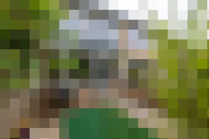 Verzetslaan 31 Doetinchem thumbnail 18
