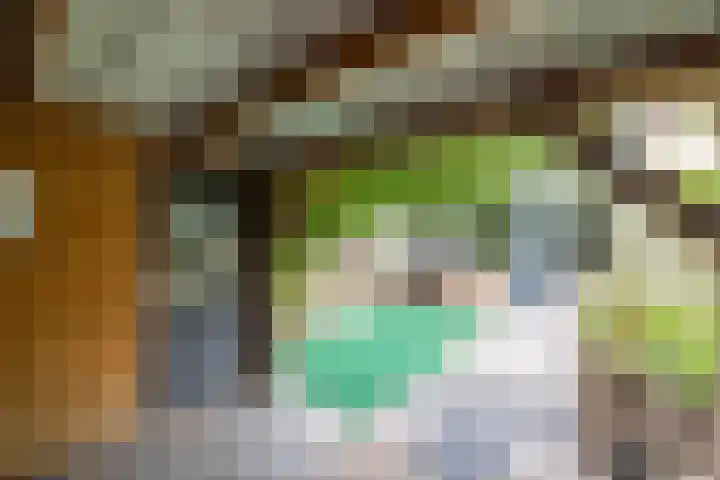 Verzetslaan 31 Doetinchem thumbnail 19