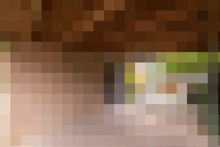 Verzetslaan 31 Doetinchem thumbnail 21