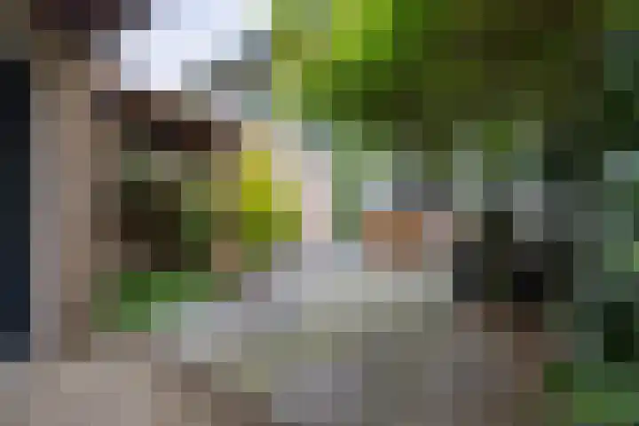 Verzetslaan 31 Doetinchem thumbnail 22