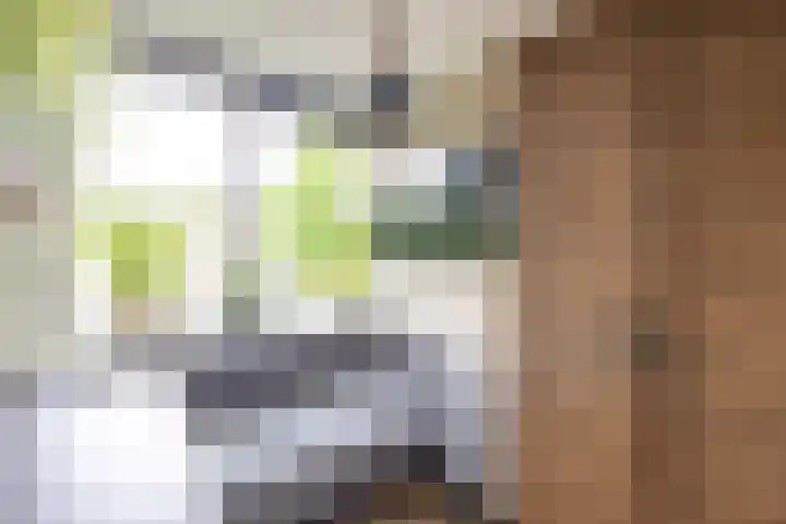 Verzetslaan 31 Doetinchem thumbnail 30