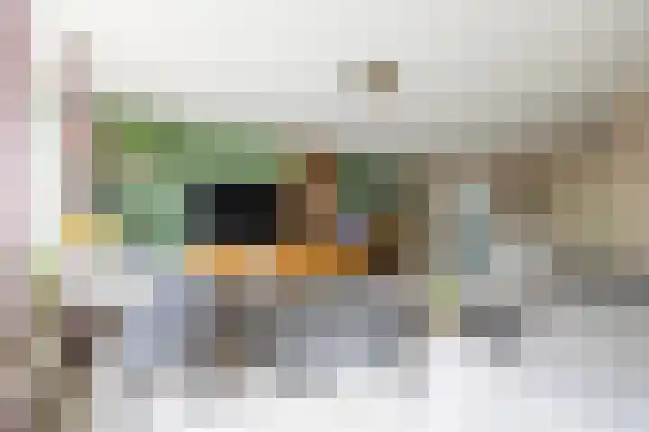 Verzetslaan 31 Doetinchem thumbnail 5