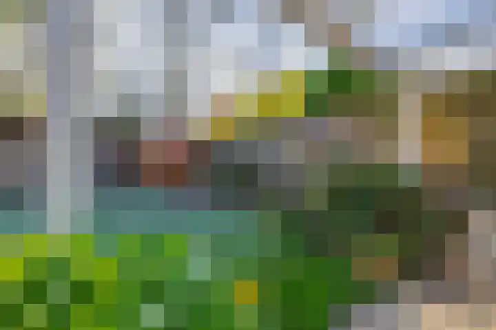 Verzetslaan 31 Meppel thumbnail 28