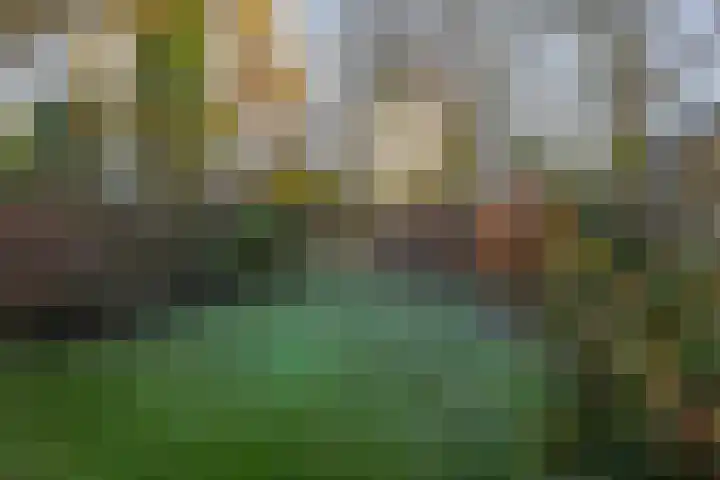 Verzetslaan 31 Meppel thumbnail 29