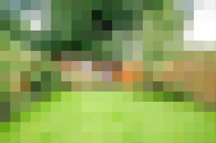 Verzetslaan 31 Meppel thumbnail 32