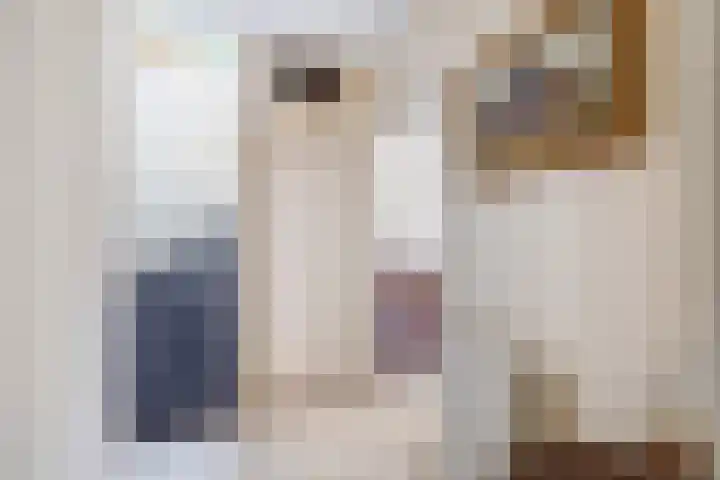 Verzetslaan 31 Meppel thumbnail 35