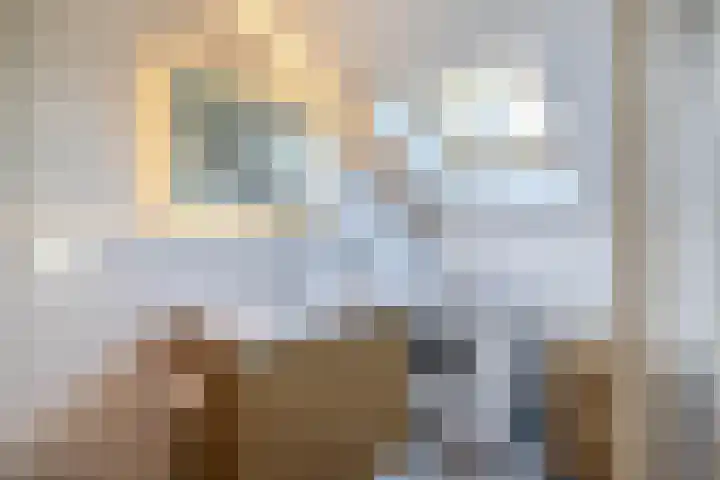 Verzetslaan 31 Meppel thumbnail 45