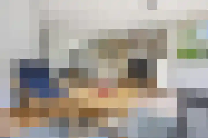 Verzetslaan 31 Putten thumbnail 12