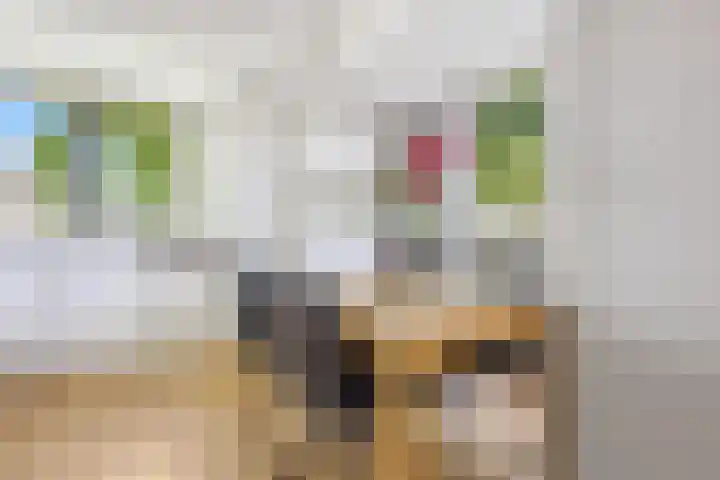Verzetslaan 31 Putten thumbnail 14