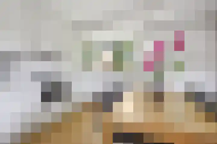 Verzetslaan 31 Putten thumbnail 17