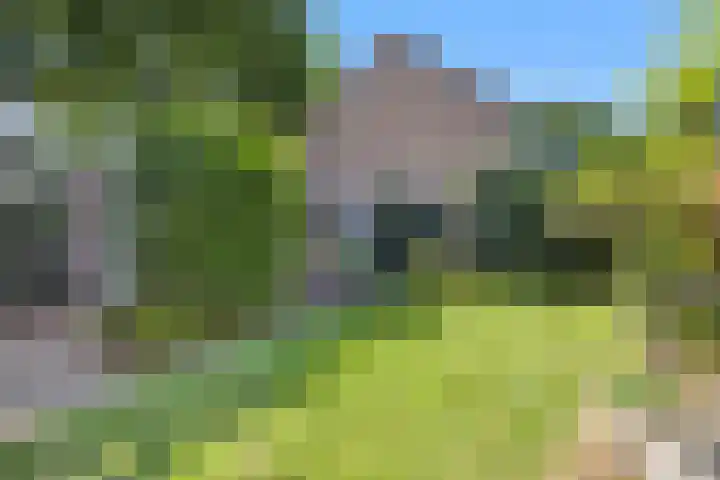 Verzetslaan 31 Putten thumbnail 26