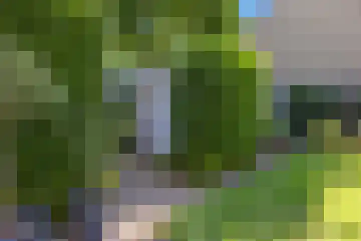 Verzetslaan 31 Putten thumbnail 27