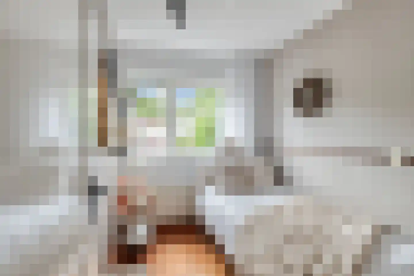 Verzetslaan 35 Doetinchem thumbnail 24