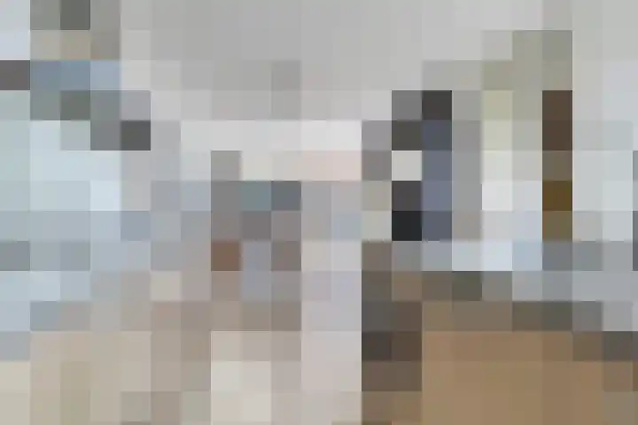 Verzetslaan 36 Almere thumbnail 14