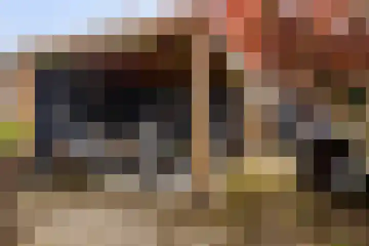 Verzetslaan 36 Almere thumbnail 4