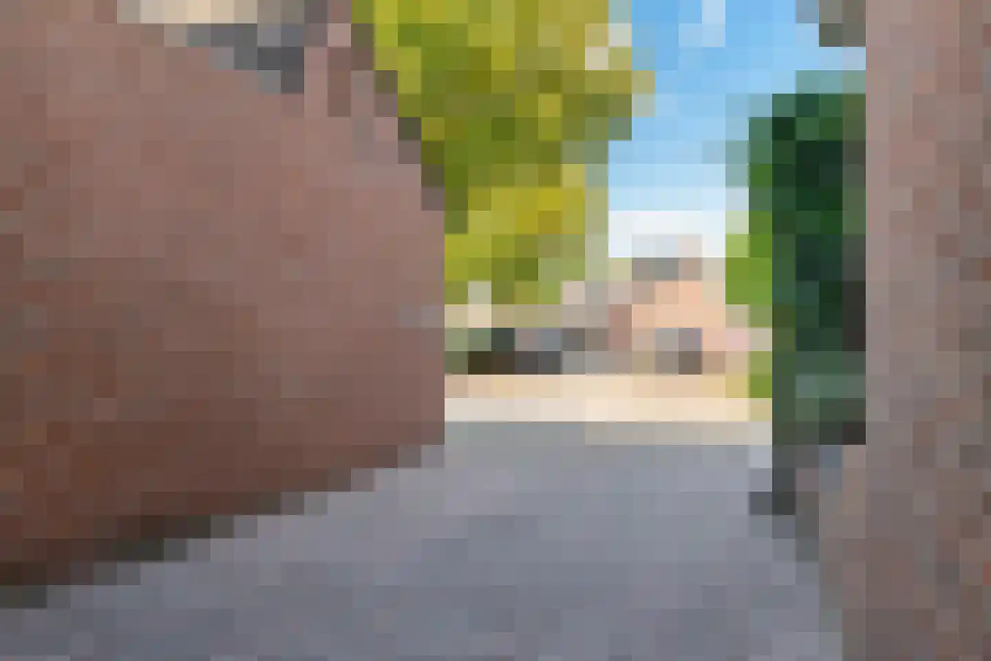 Verzetslaan 49 Meppel thumbnail 26