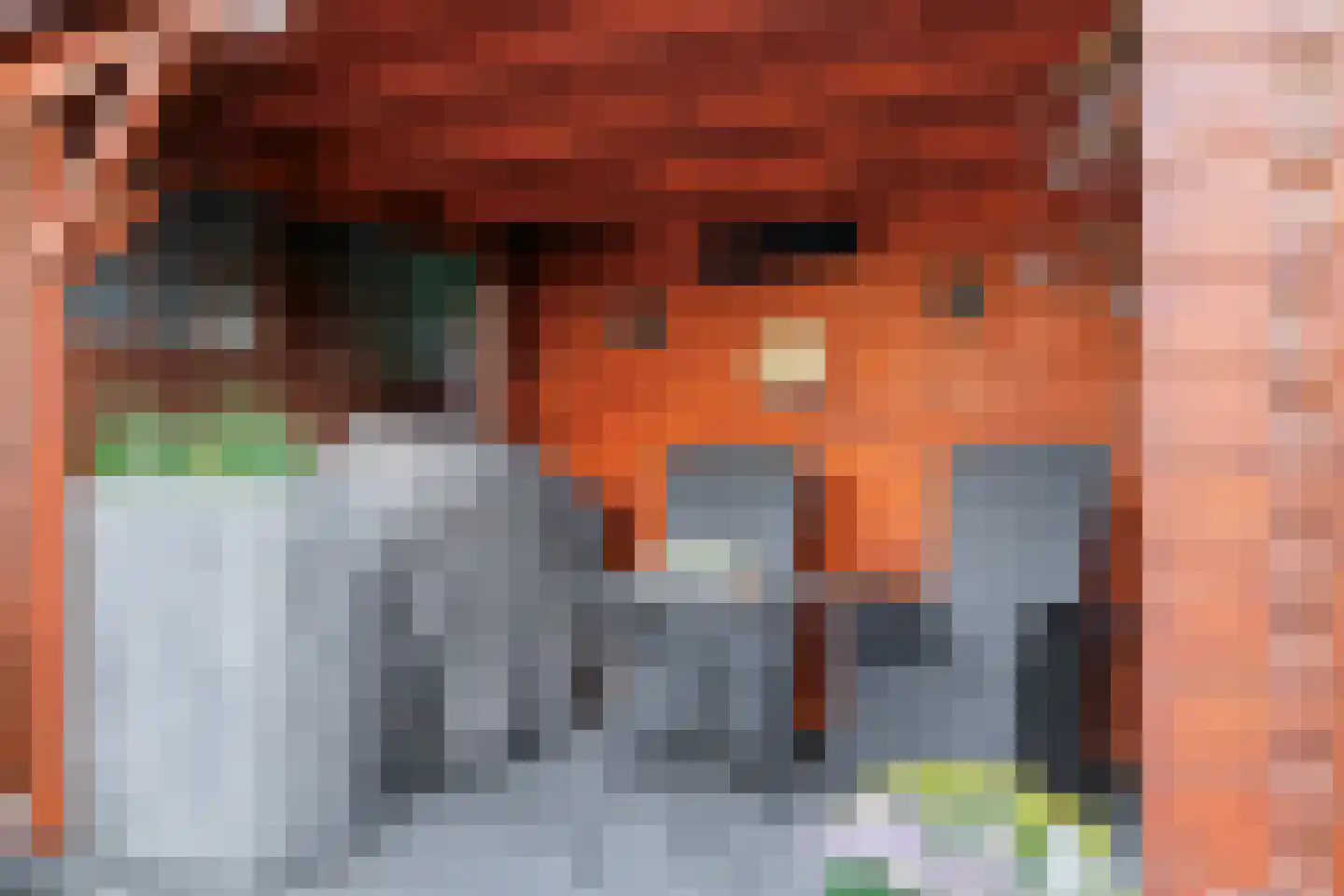 Verzetslaan 49 Meppel thumbnail 28
