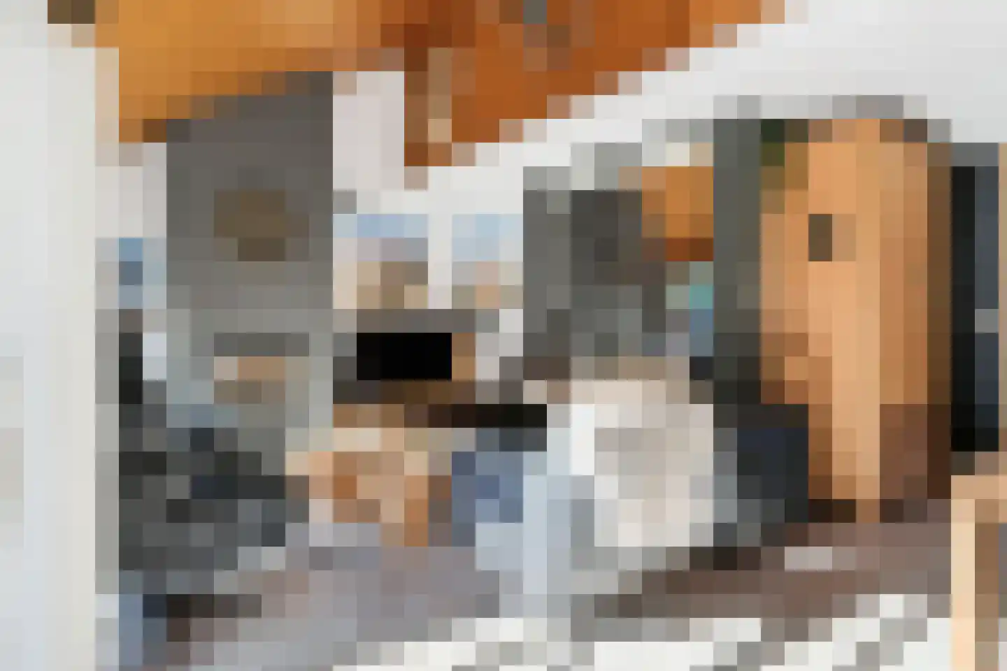 Verzetslaan 49 Meppel thumbnail 5