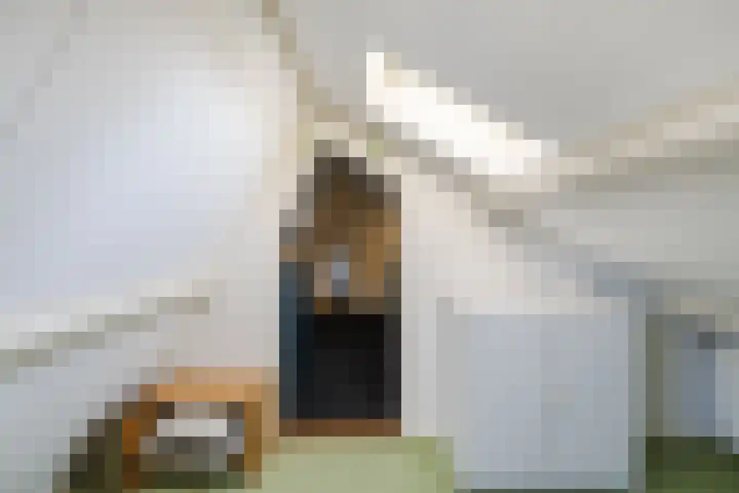 Verzetslaan 63 Meppel thumbnail 32