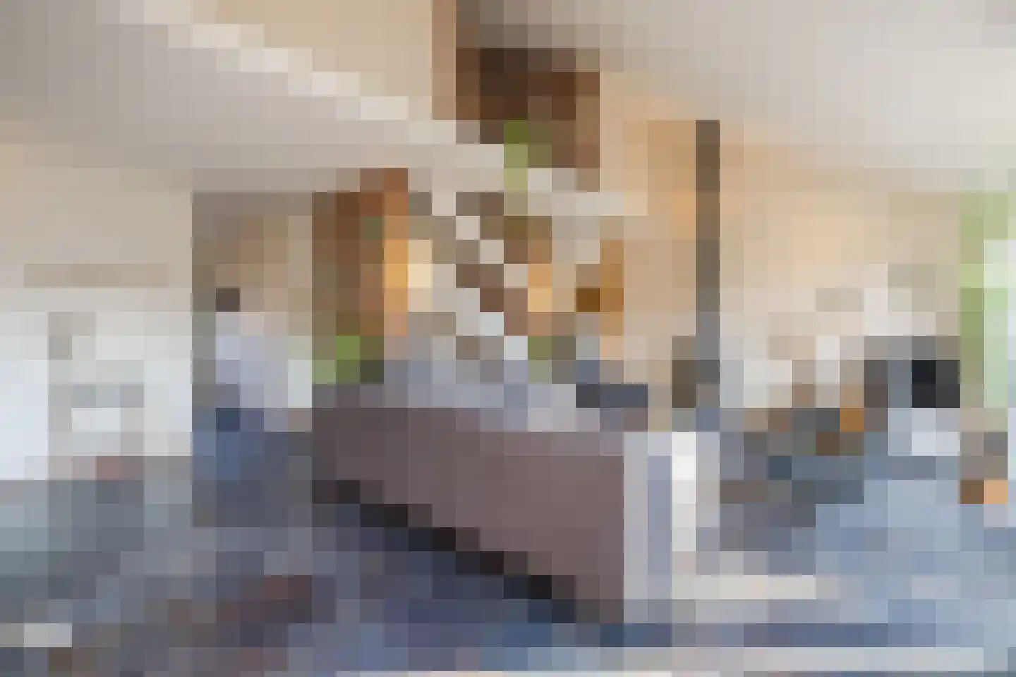 Verzetslaan 63 Meppel thumbnail 5