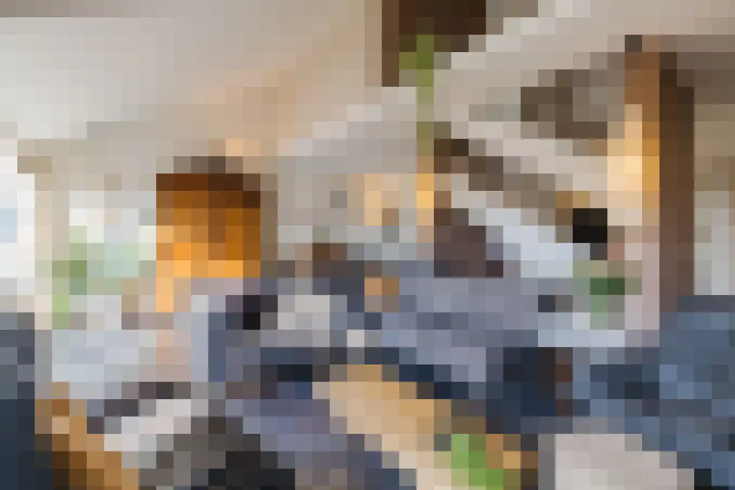 Verzetslaan 63 Meppel thumbnail 6