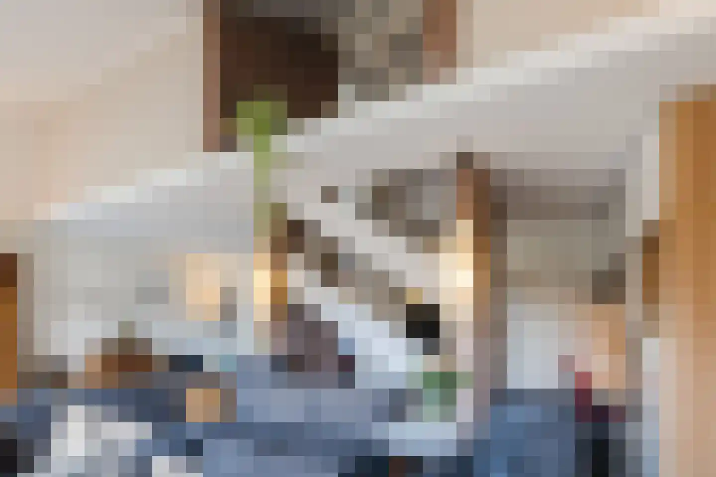 Verzetslaan 63 Meppel thumbnail 7
