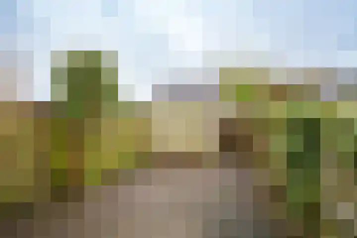 Verzetslaan 66 Almere thumbnail 35