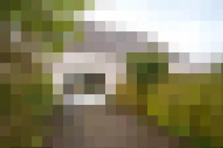 Verzetslaan 66 Almere thumbnail 38