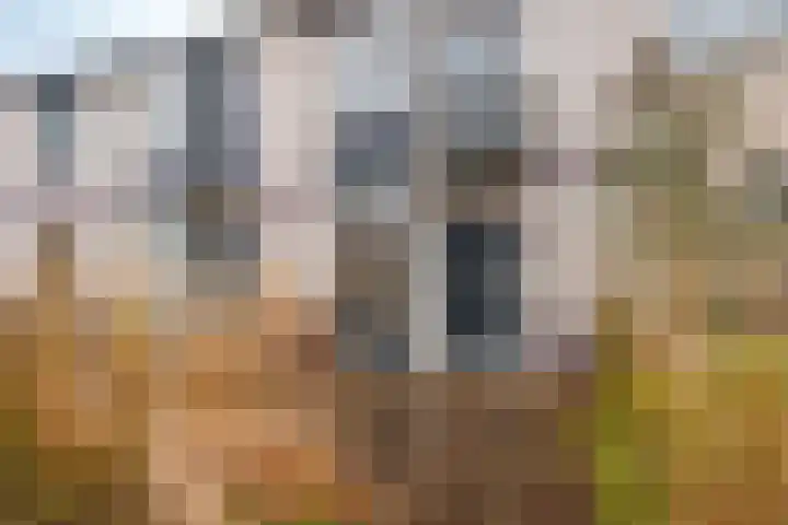 Verzetslaan 66 Almere thumbnail 6