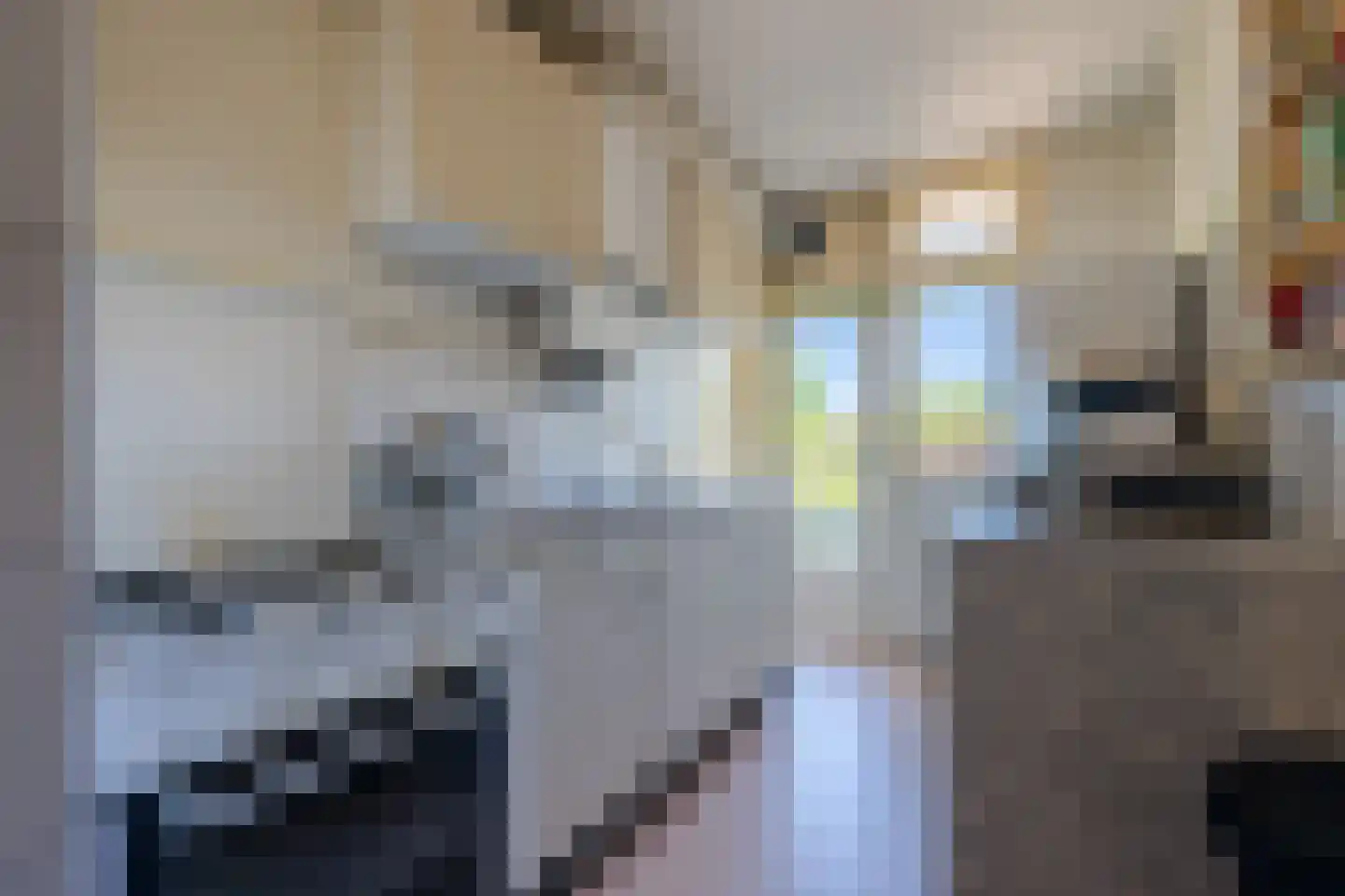 Verzetslaan 66 Zeist thumbnail 14