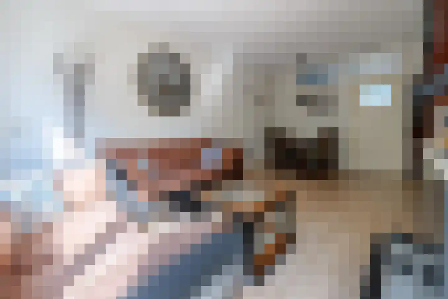 Verzetslaan 66 Zeist thumbnail 8