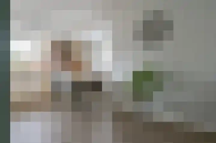 Verzetslaan 67 Putten thumbnail 11
