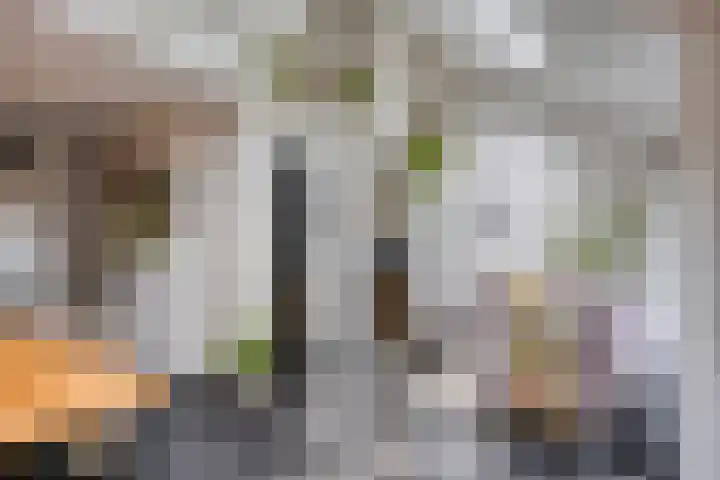 Verzetslaan 7 Meppel thumbnail 10
