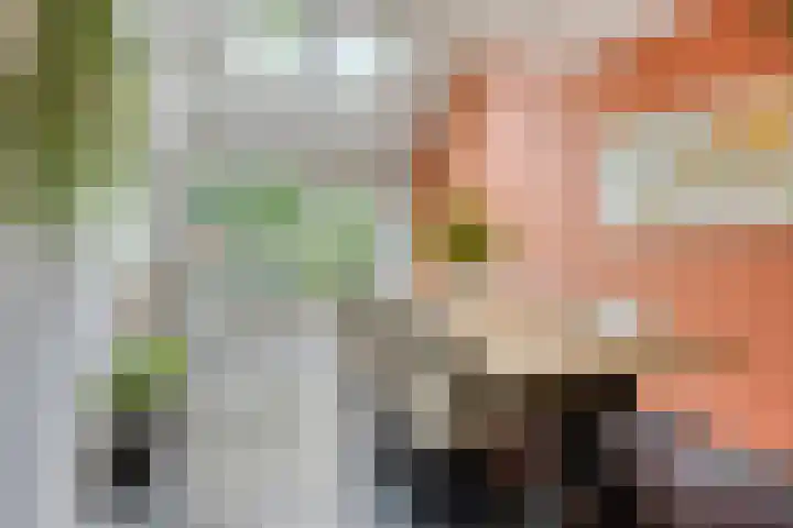 Verzetslaan 7 Meppel thumbnail 14