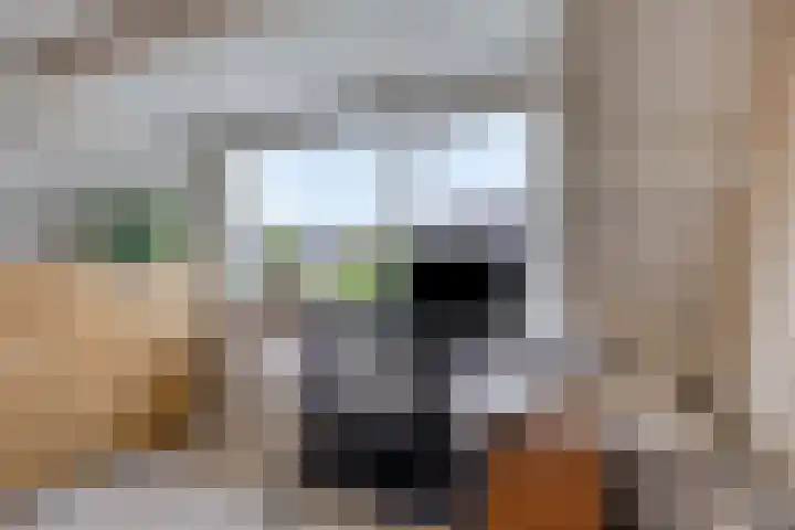Verzetslaan 7 Meppel thumbnail 25
