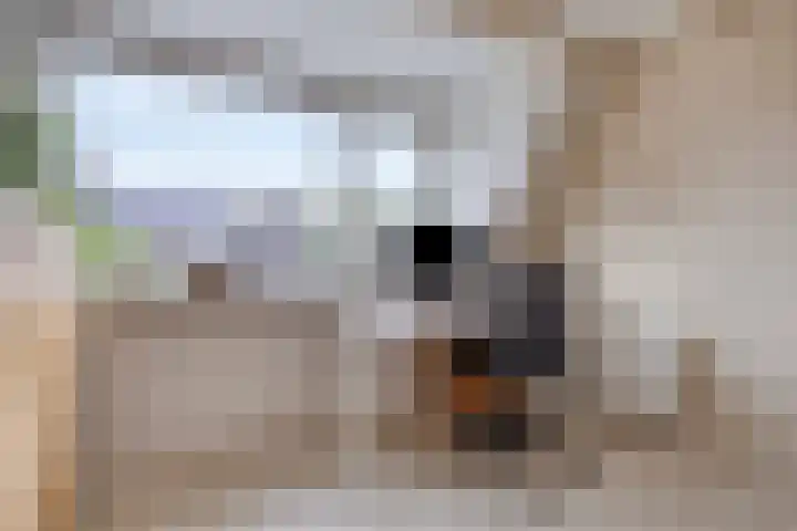 Verzetslaan 7 Meppel thumbnail 26