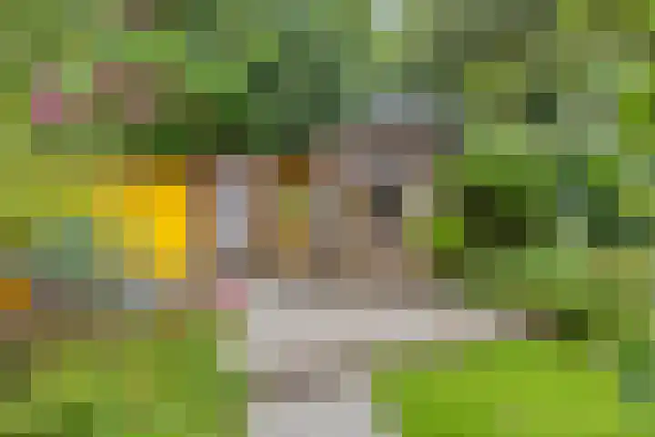 Verzetslaan 7 Meppel thumbnail 30
