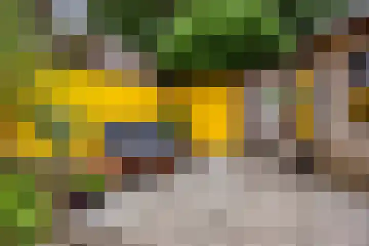 Verzetslaan 7 Meppel thumbnail 31