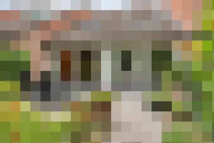 Verzetslaan 7 Meppel thumbnail 32
