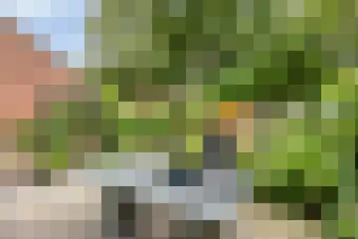Verzetslaan 7 Meppel thumbnail 33