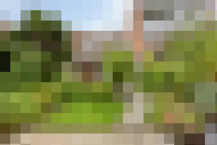 Verzetslaan 7 Meppel thumbnail 34