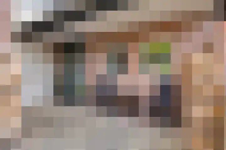 Verzetslaan 7 Meppel thumbnail 35