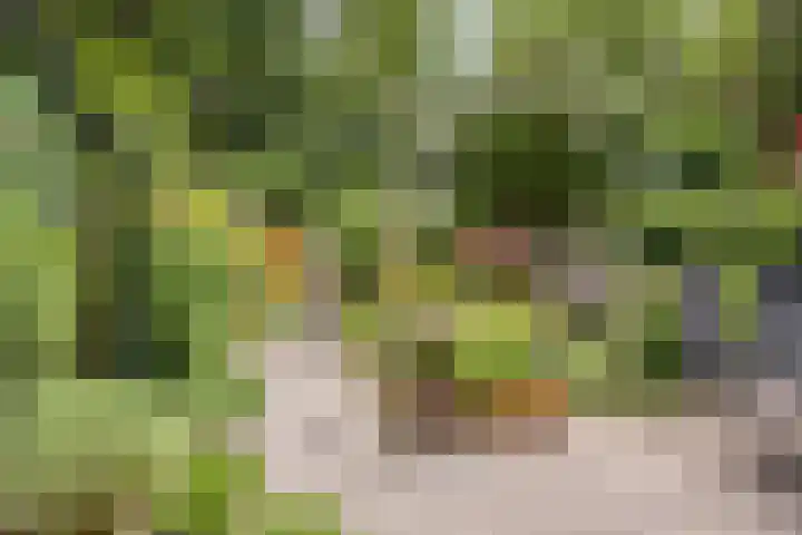 Verzetslaan 7 Meppel thumbnail 4