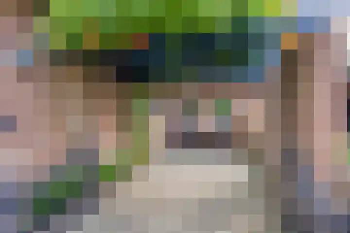 Verzetslaan 7 Meppel thumbnail 5