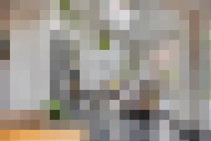 Verzetslaan 7 Meppel thumbnail 8