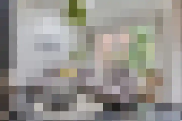 Verzetslaan 7 Meppel thumbnail 9