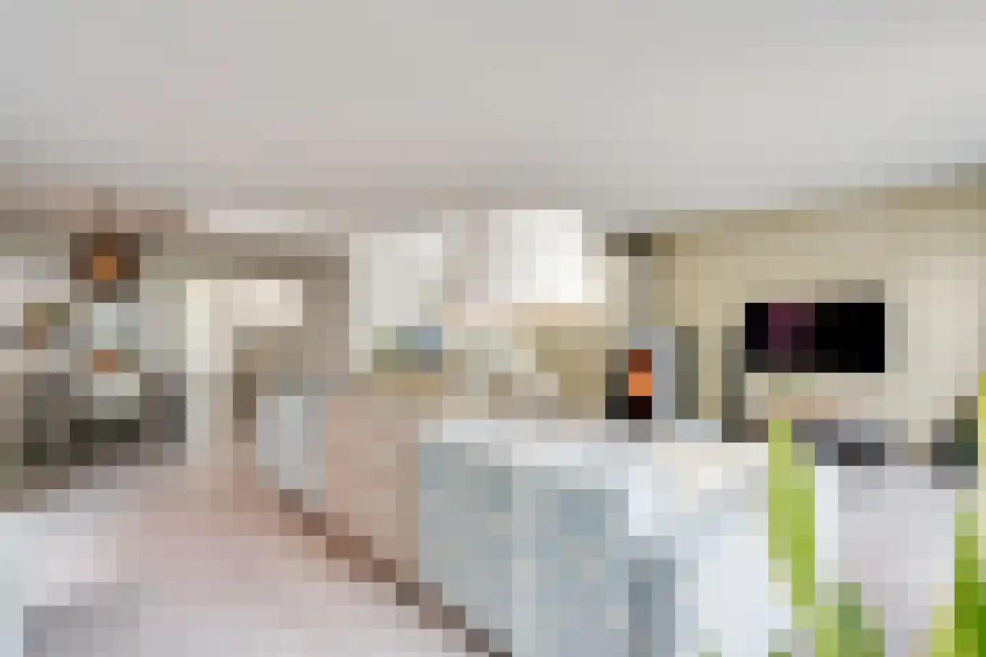 Verzetslaan 8 Warmenhuizen thumbnail 13
