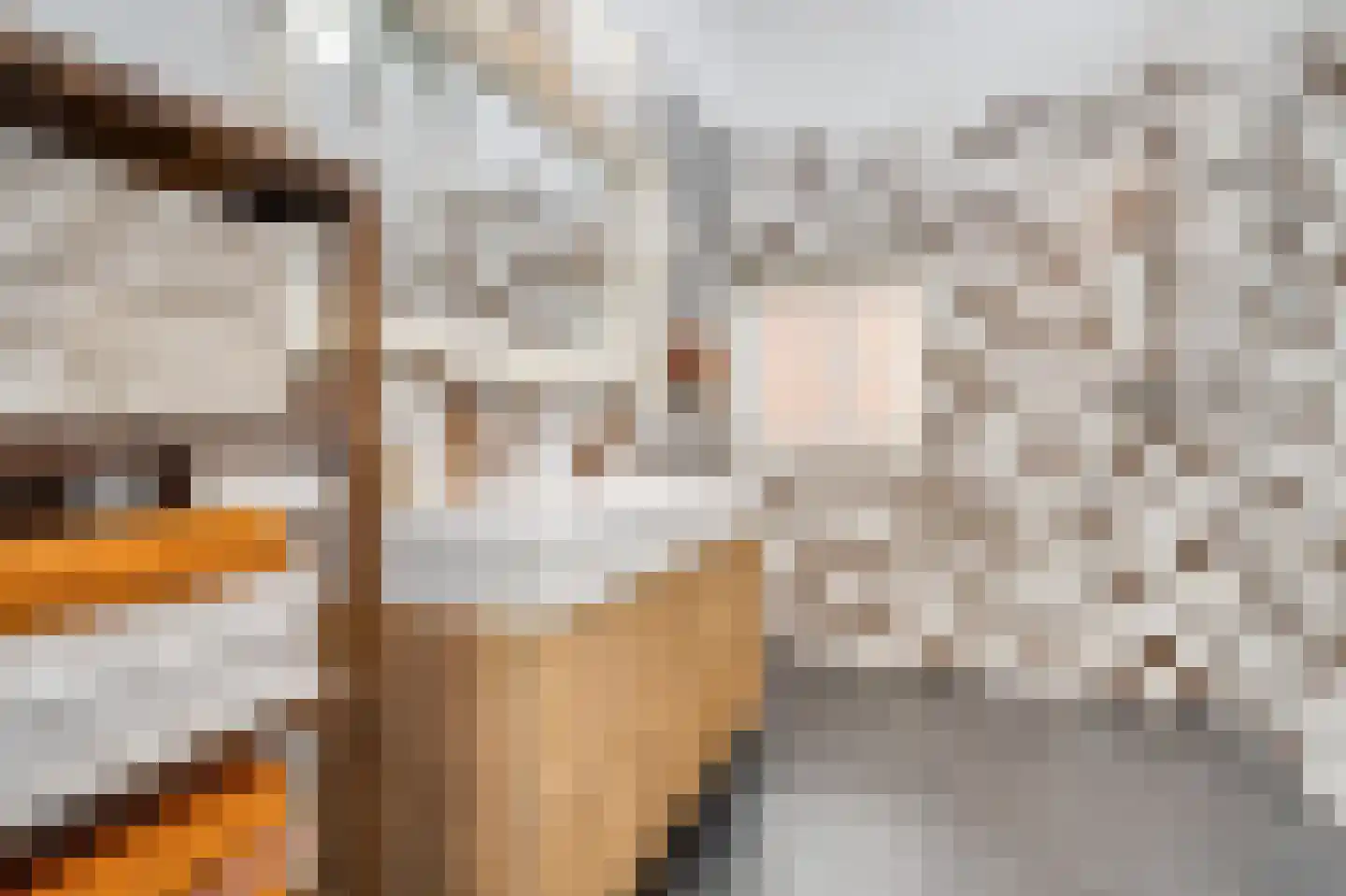 Verzetslaan 8 Warmenhuizen thumbnail 31